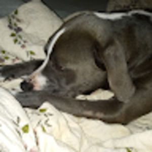 Meet your Posher, Brandy